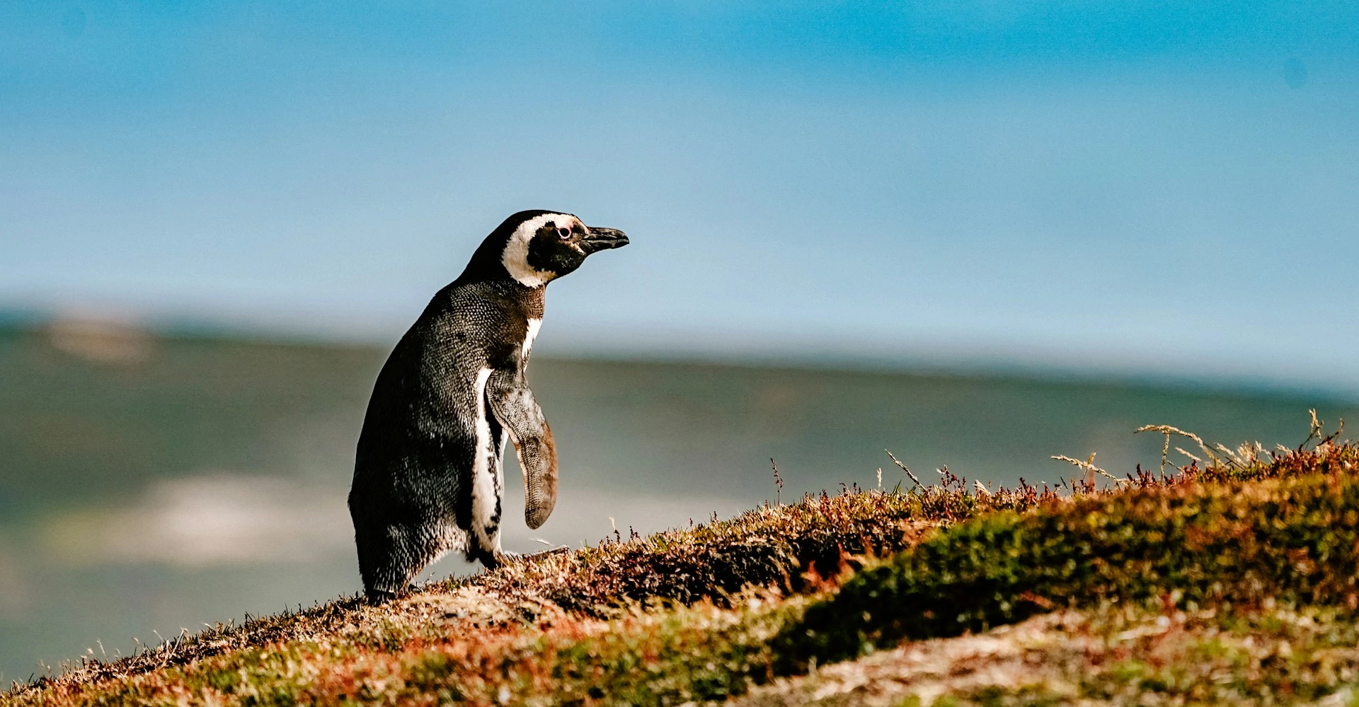 Galápagos National Park Galápagos National Park