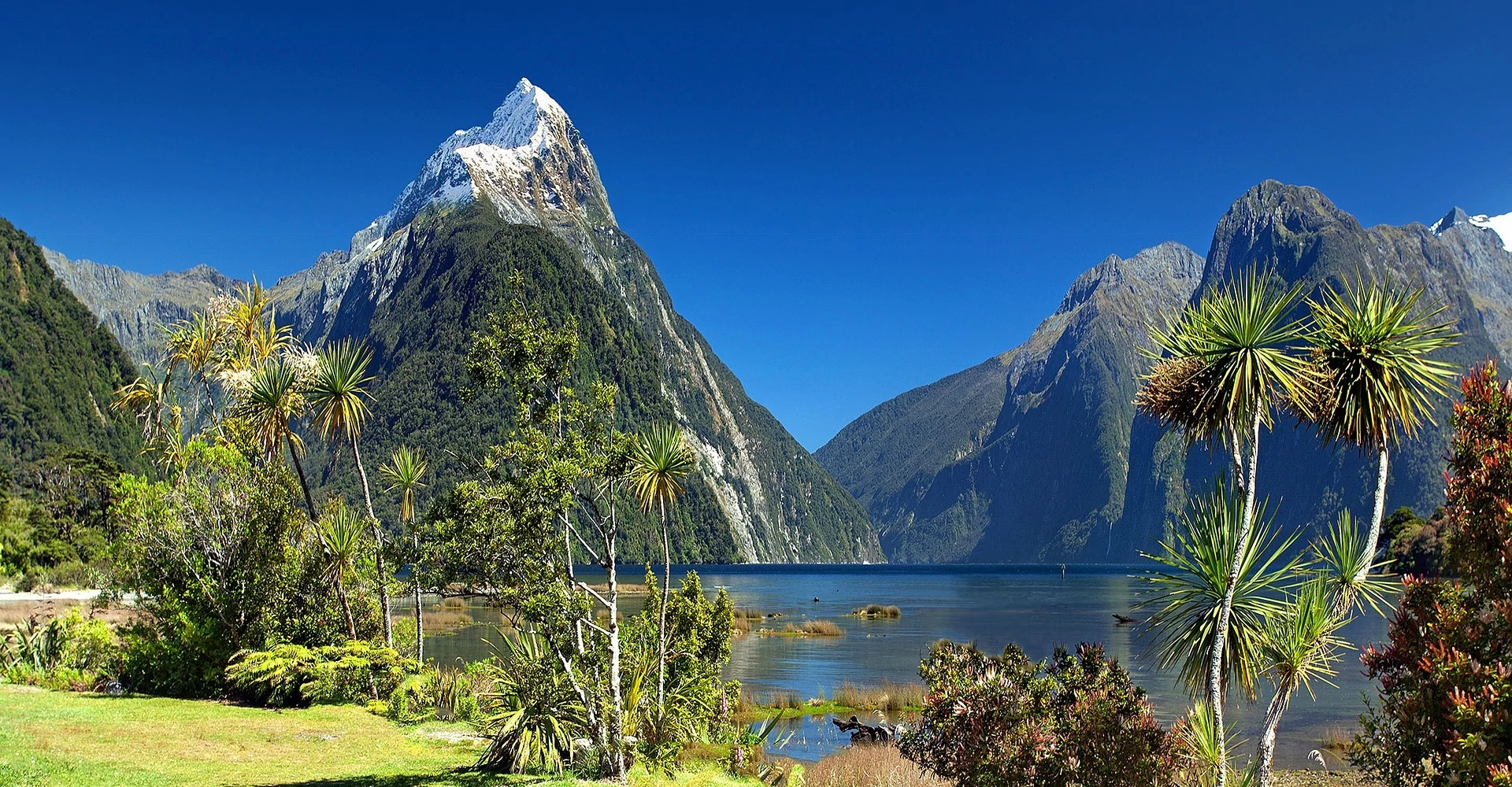 Milford Sound Fiord at the Fiordland National Park Milford Sound Fiord at the Fiordland National Park