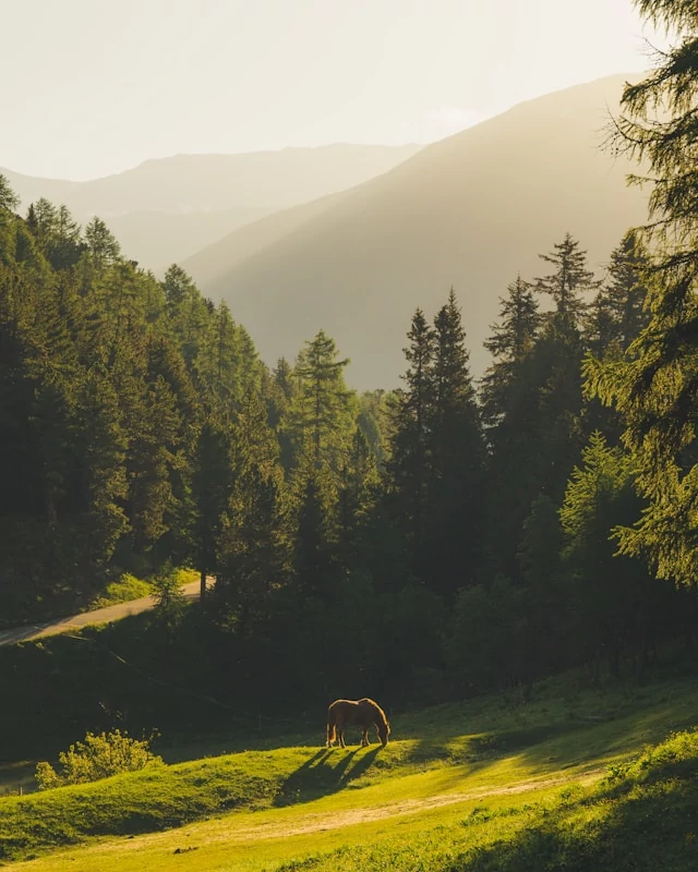 Personalized Travel Planning for Unforgettable Trips