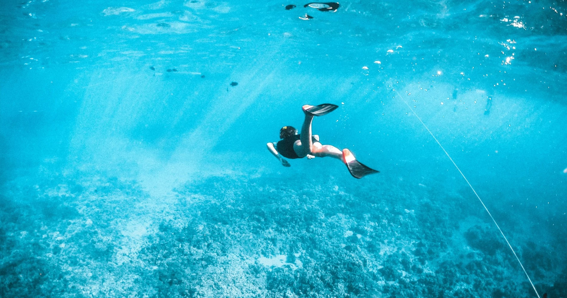 Person snorkeling in the water Person snorkeling in the water