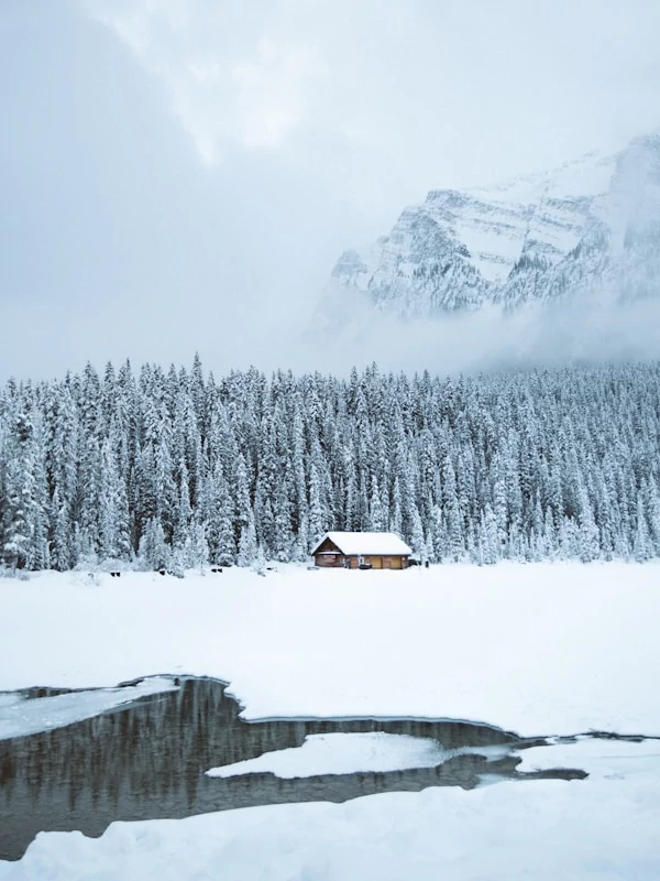 Cabaña marrón junto a un bosque cubierto de nieve en Banff Cabaña marrón junto a un bosque cubierto de nieve en Banff