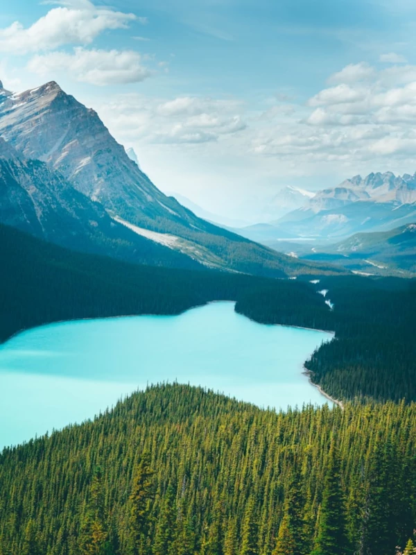 El hermoso lago Peyto en el Parque Nacional Banff El hermoso lago Peyto en el Parque Nacional Banff