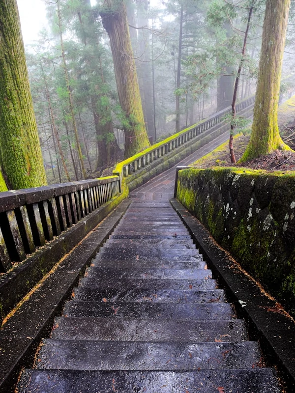 A path in the woods of Nikko National Park - Japan