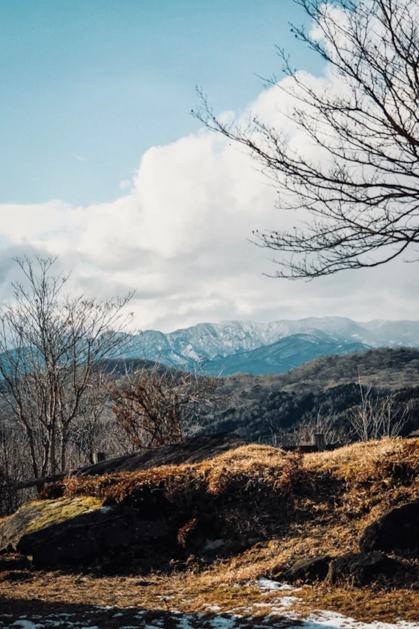 Views of the mountains of Nikko
