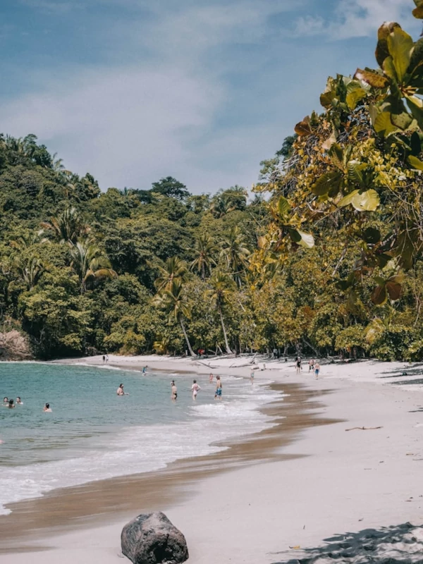 Tropical beach at Manuel Antonio National Park, Costa Rica Tropical beach at Manuel Antonio National Park, Costa Rica