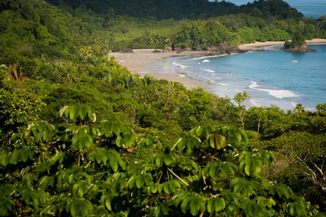 The rainforest and the beach of Manuel Antonio, Costa Rica The rainforest and the beach of Manuel Antonio, Costa Rica