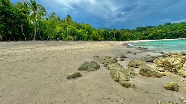 Hay menos multitudes en el parque y en las playas durante la temporada verde o lluviosa. Hay menos multitudes en el parque y en las playas durante la temporada verde o lluviosa.