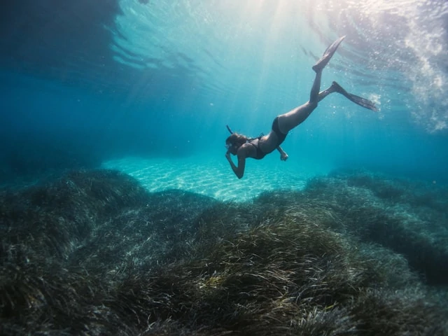 A woman snorkeling and swimming in the ocean A woman snorkeling and swimming in the ocean