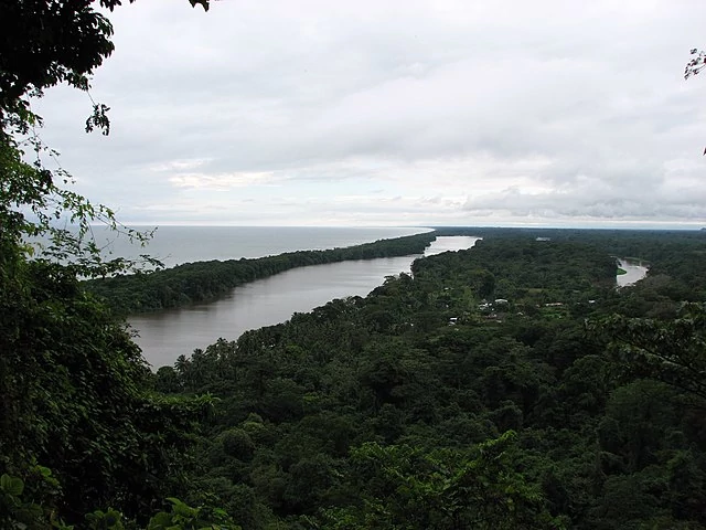 Bosque de palmeras y manglares de la costa atlántica en el Parque Nacional Tortuguero, noreste de Costa Rica. Bosque de palmeras y manglares de la costa atlántica en el Parque Nacional Tortuguero, noreste de Costa Rica.