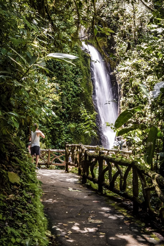 Persona mirando una cascada en un sendero lleno de musgo y plantas verdes Persona mirando una cascada en un sendero lleno de musgo y plantas verdes