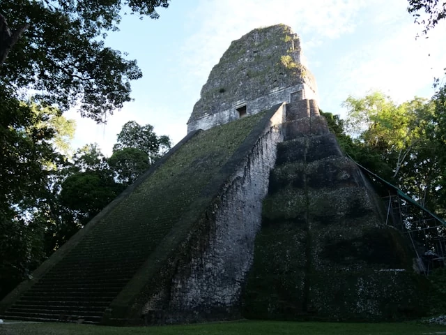 A very tall mayan pyramid with stairs full of moss leading up to it A very tall mayan pyramid with stairs full of moss leading up to it