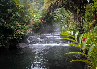 The steaming waterfalls of Tabacón Hot Springs surrounded by green plants and flowers The steaming waterfalls of Tabacón Hot Springs surrounded by green plants and flowers