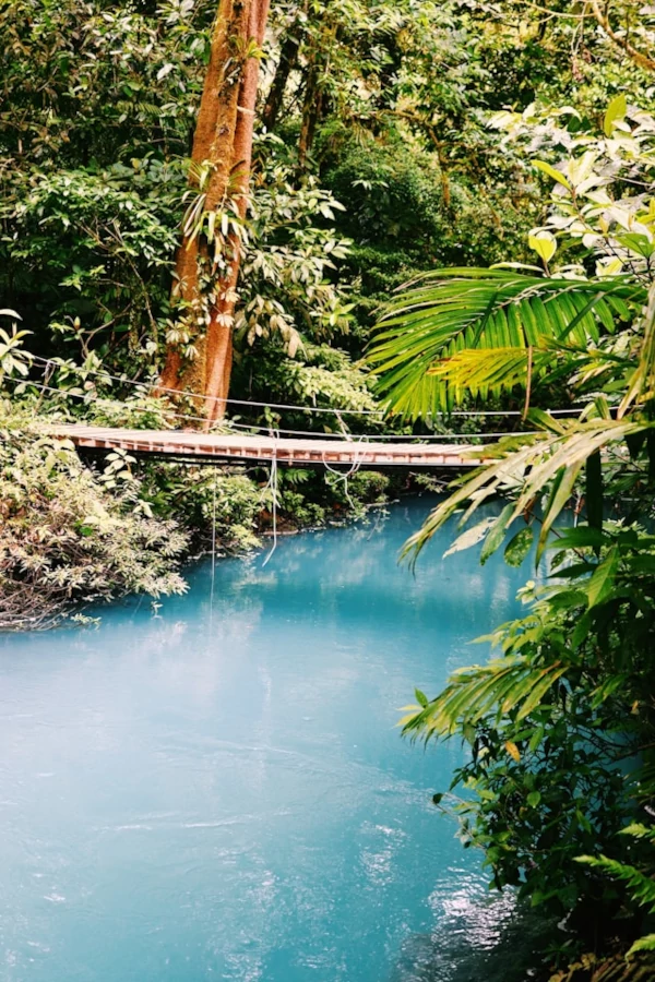 A bridge that goes over a blue river surrounded by green trees A bridge that goes over a blue river surrounded by green trees