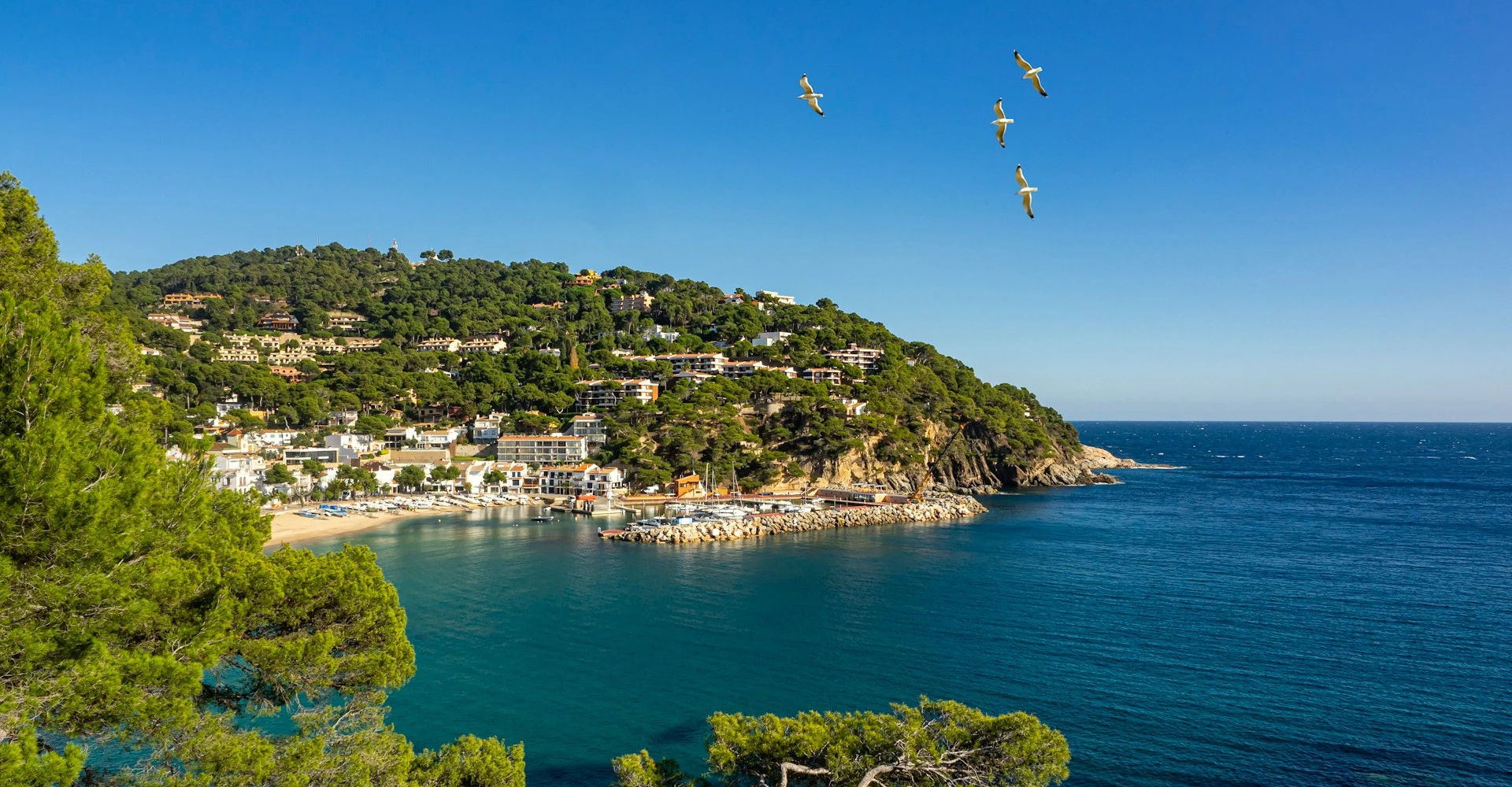 Views of Llafranc and the Sant Sebastià lighthouse from the Camí de Ronda connecting to Calella de Palafrugell