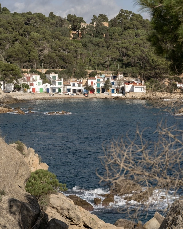 View of Cala s'Alguer with its famous white fishermen's houses with brightly colored doors and windows