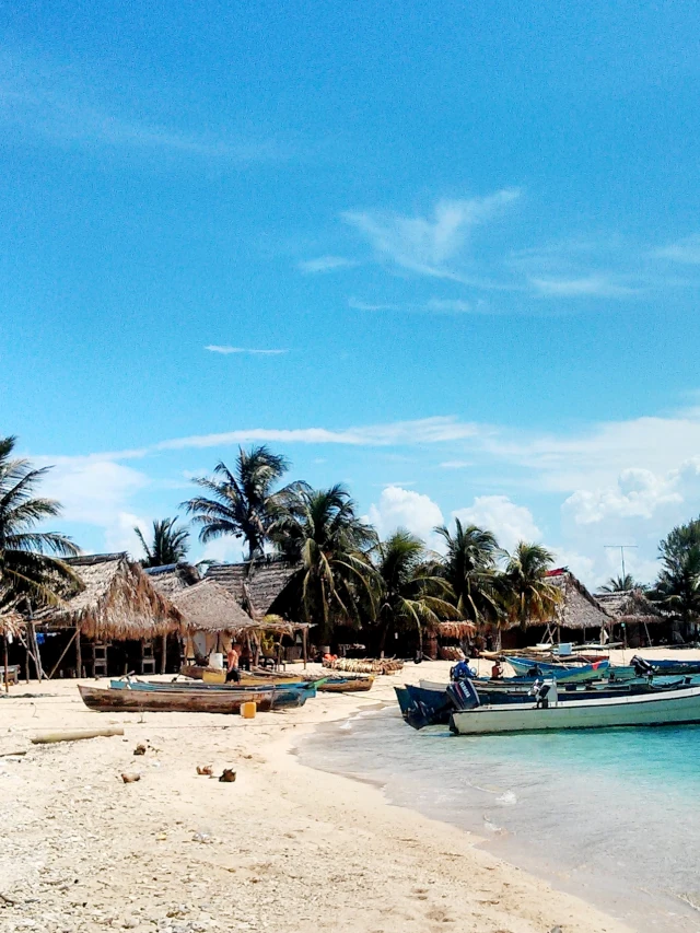 Beach full of fishing boats, with huts and palm trees in the background