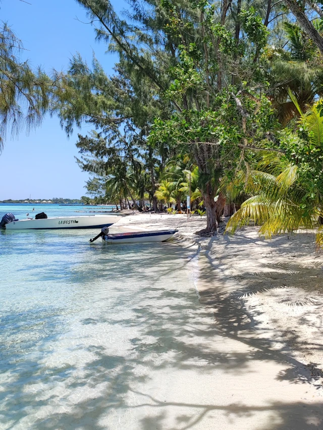 A quiet beach with white sand and calm, clear waters, with palm trees and white boats in the background