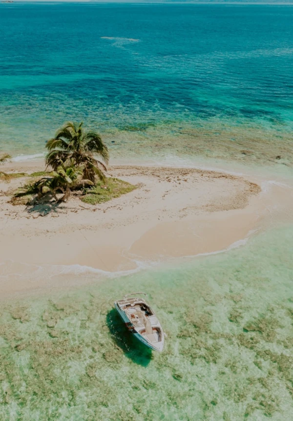 A white sand island with a single palm tree in the middle, surrounded by crystal-clear waters and a white boat