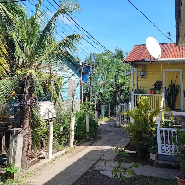 A path passing between colorful Caribbean-style houses surrounded by palm trees and vegetation