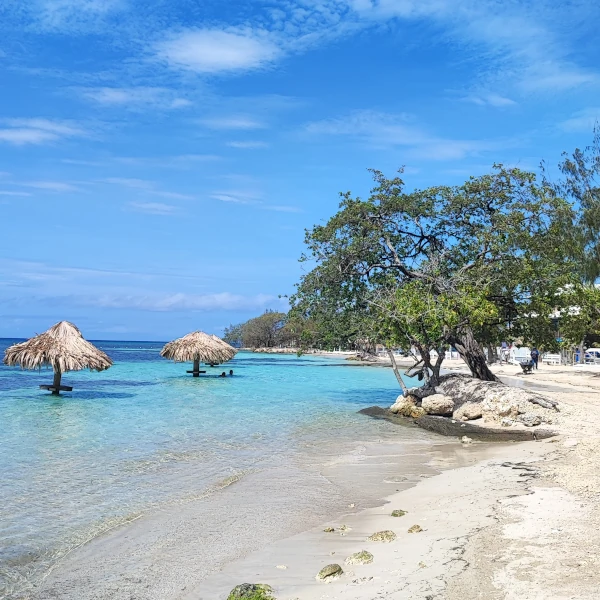 Turquoise blue water beach with parasols inside and vegetation next to the beach