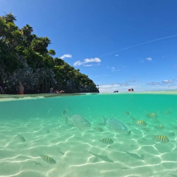 White sand beach with blue waters, a small cliff, and fish swimming in the water