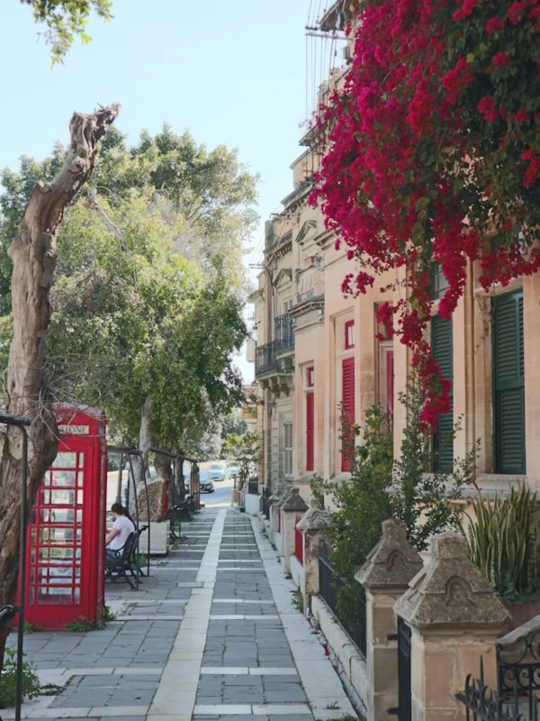 Charming street in Rabat lined with plants, red flowers, and a classic red phone booth.