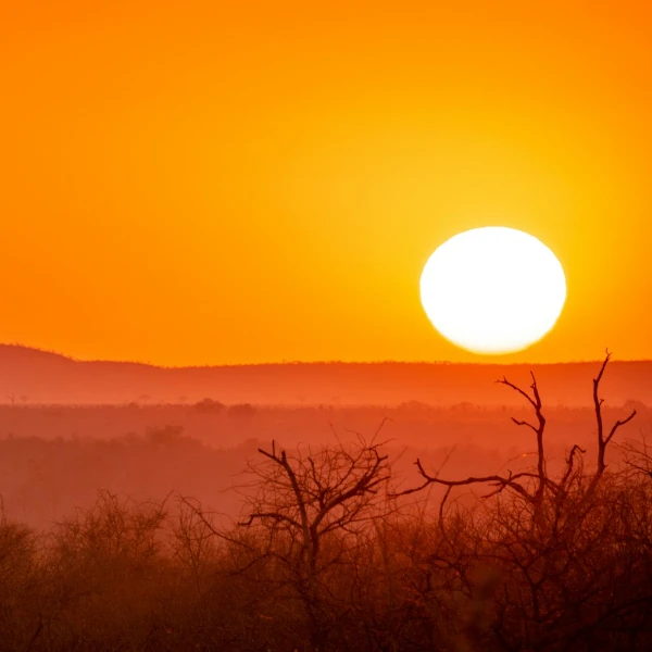 Orange sunset over the savannah stretching to the horizon