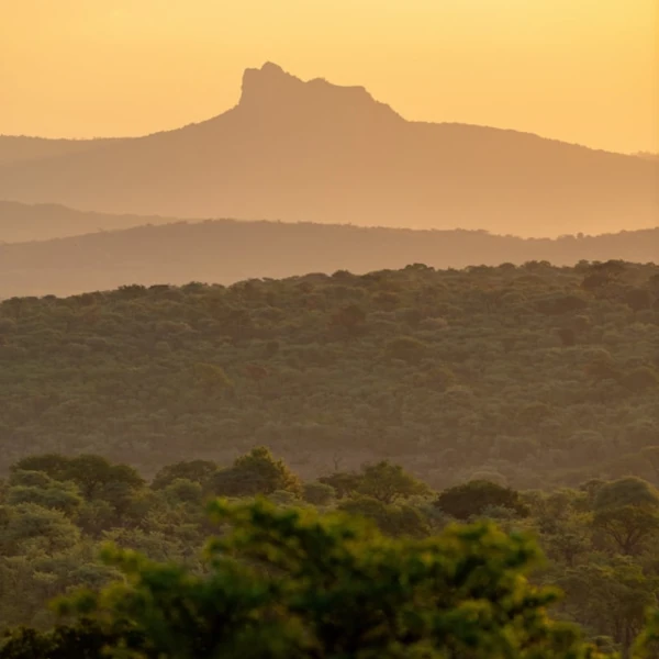 Panoramic view of distant mountains and forested landscape