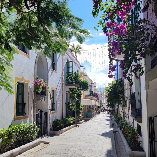 A colourful street full of plants, flowers and white houses in Puerto de Mogán