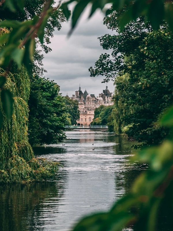 Buckingham Palace view from the bridge in Saint James's Park, with a lake in between and a lot of trees