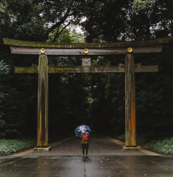 Una persona con un paraguas delante de la puerta torii del Meiji Jingu en un día lluvioso