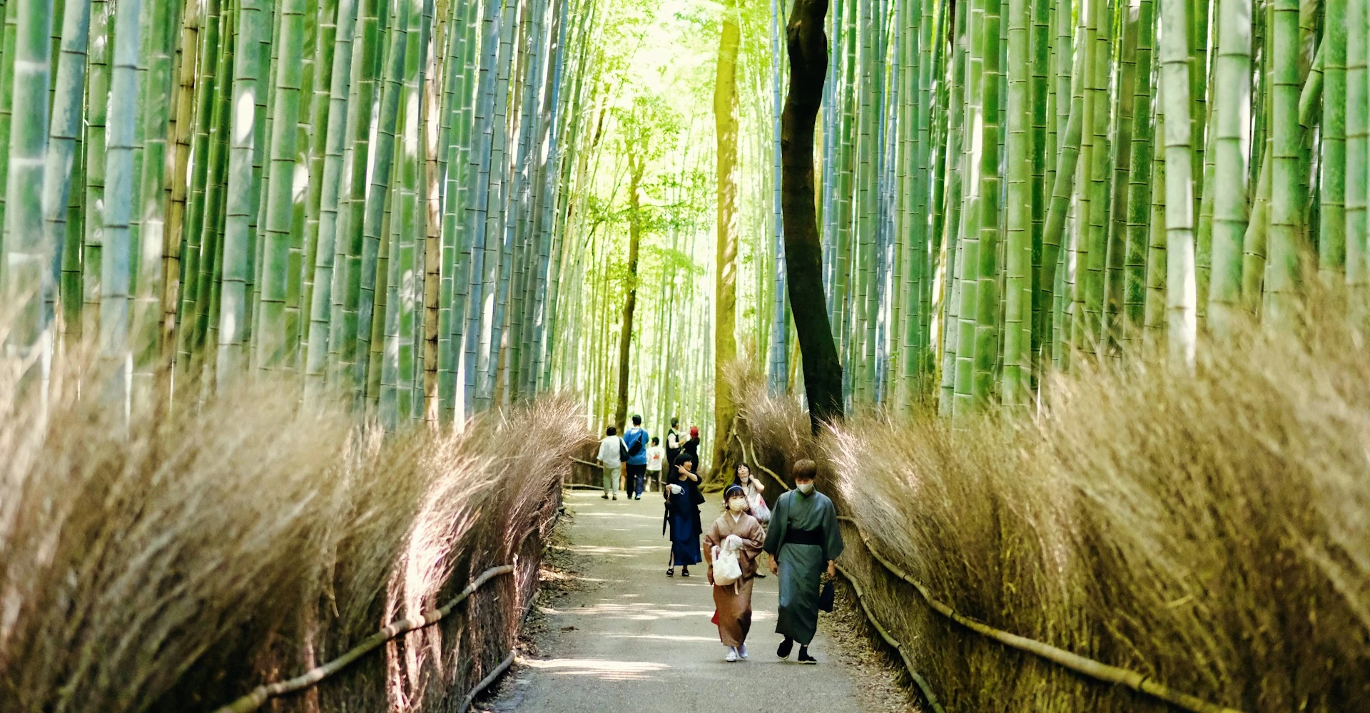 The enchanting Arashiyama Bamboo Grove in Kyoto, Japan, with strolling visitors enhancing its natural beauty.