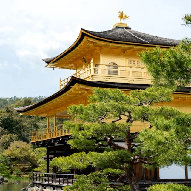Beautiful daytime view of Kinkaku-ji, the Golden Pavilion, amidst lush greenery in Kyoto, Japan.