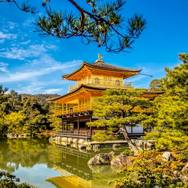 View of Kinkaku-ji, the Golden Pavilion, surrounded by vibrant greenery in Kyoto, Japan