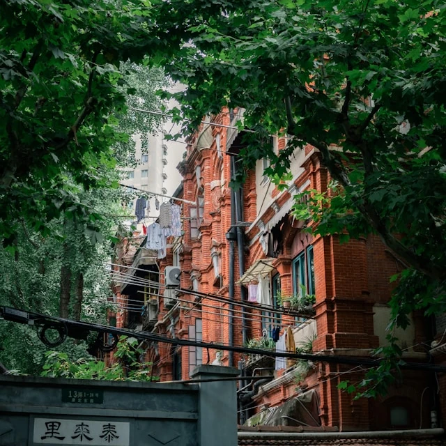 Brick houses in a secluded alley in Shanghai, surrounded by lush, dense trees