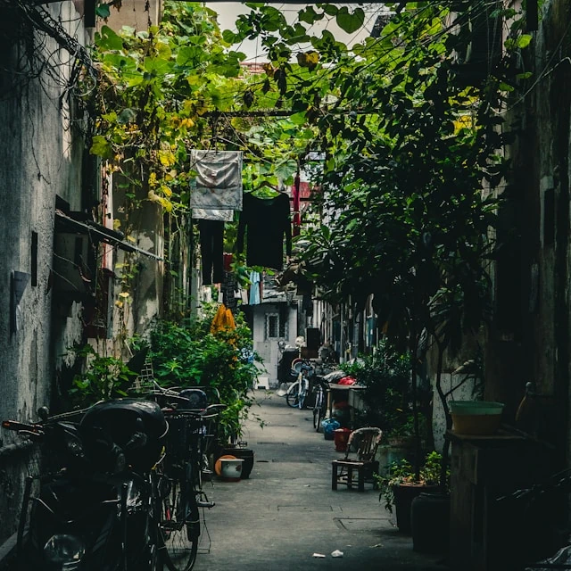 A narrow, secluded alley, with chairs and bicycles on both sides, and lush green plants climbing up the walls