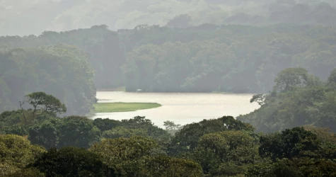 A water canal surrounded by the rainforest in Tortuguero, Costa Rica