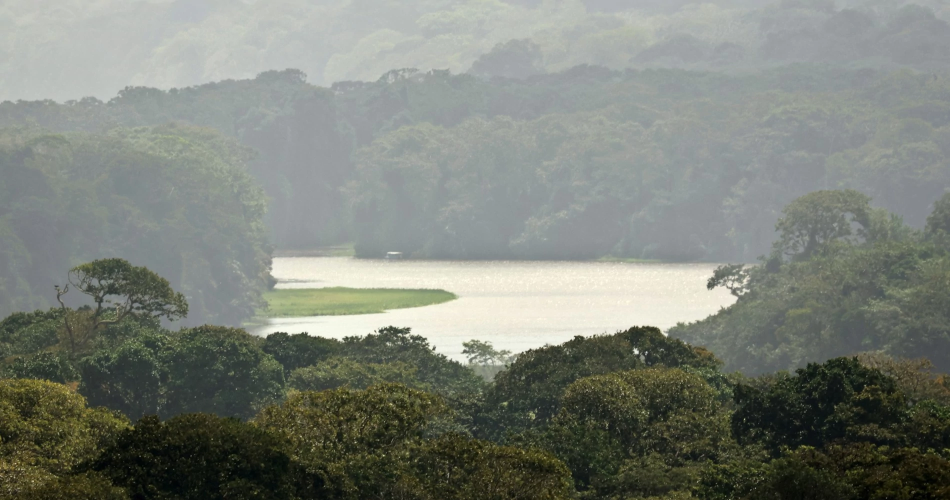 A water canal surrounded by the rainforest in Tortuguero, Costa Rica