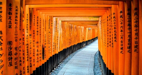 Kyoto's 7 AM Club: Why Fushimi Inari Is Pointless After 8:30 AM