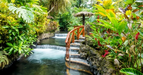 Stairs that go around a natural hot spring river surrounded by green vegetation