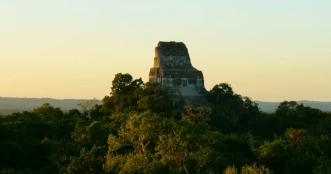 A large ancient stone structure in the middle of the green jungle