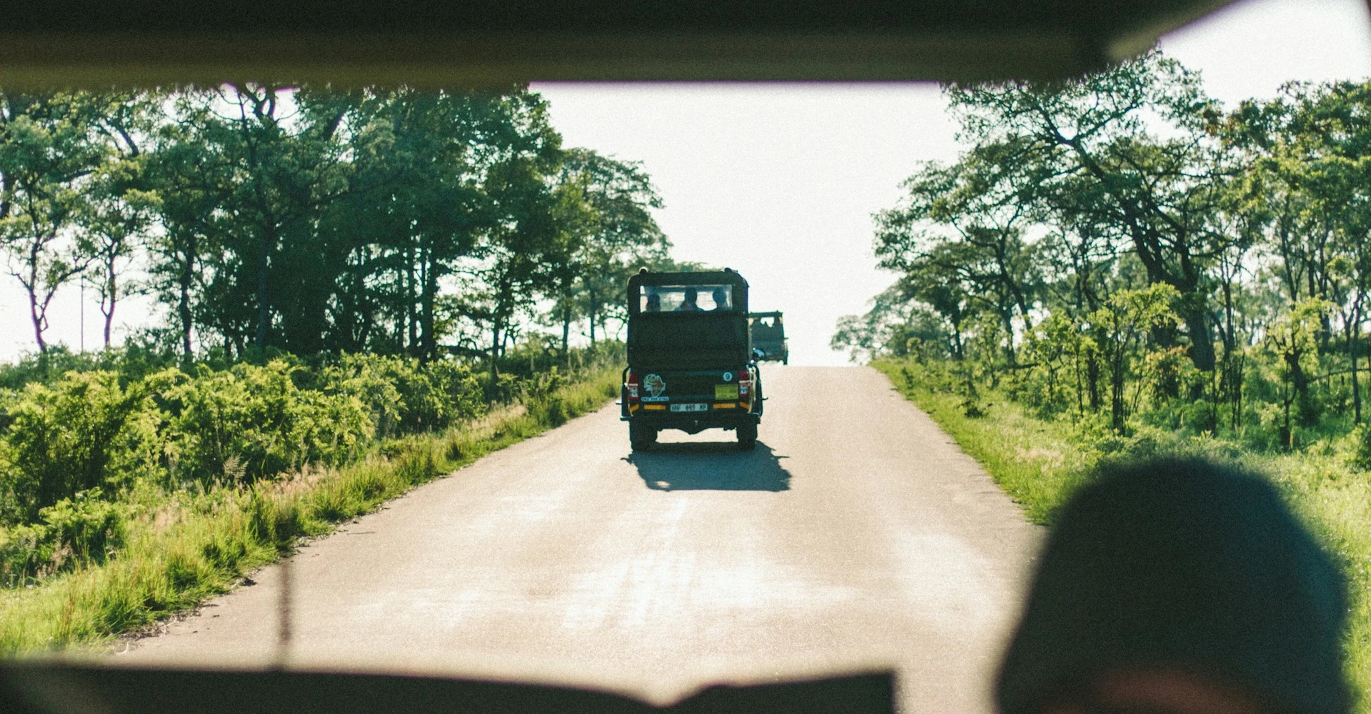 Safari cars driving in a road surrounded by green grass and trees in an african national park