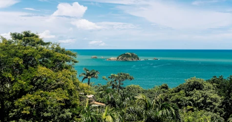 Exploring the Trails of Manuel Antonio