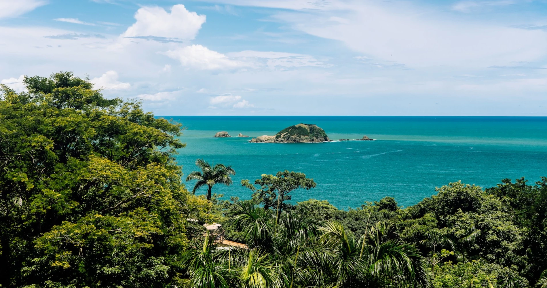 Exploring the Trails of Manuel Antonio