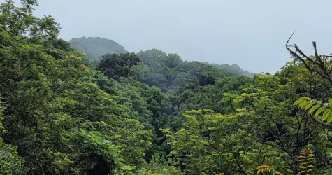 What to Do in La Tigra National Park