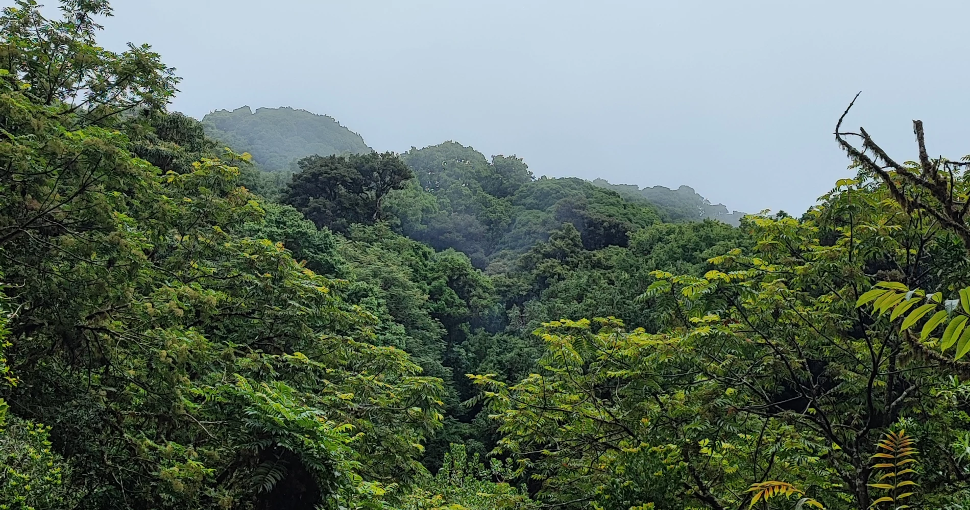 Qué hacer en el Parque Nacional La Tigra