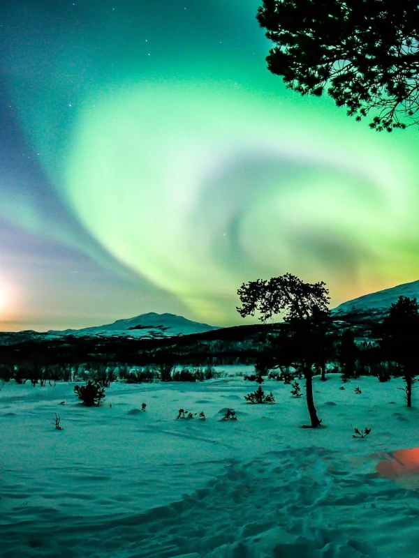 Aurora Borealis en el parque nacional Abisko Auroras Boreales