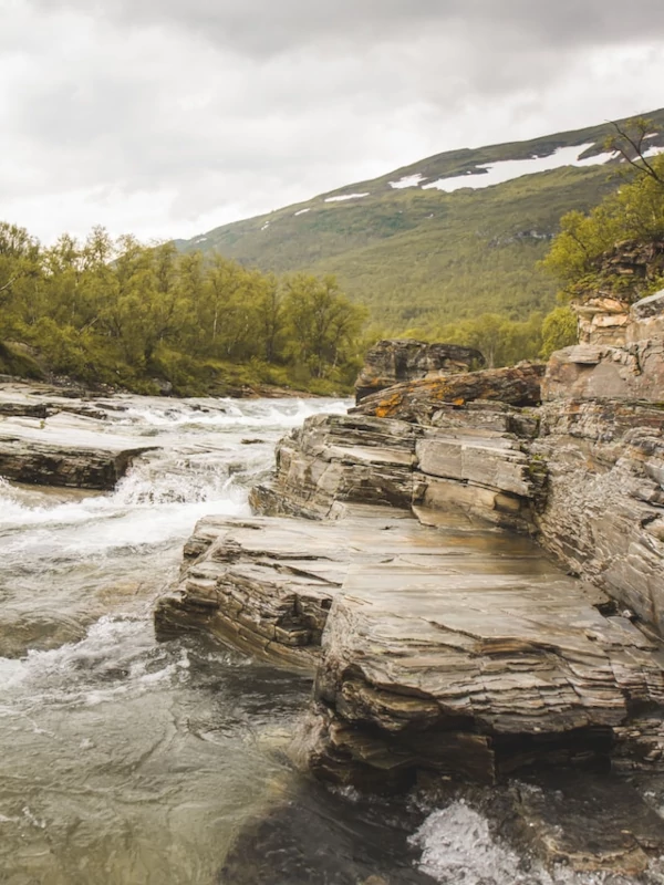 Paisajes y vida salvaje en el parque nacional Abisko Rio en Abisko durante el verano