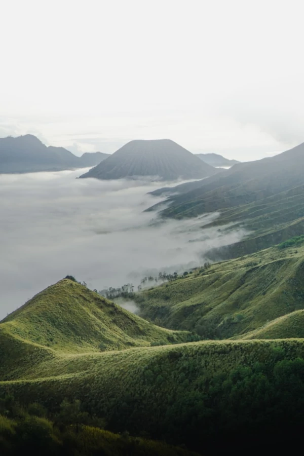 Flora, fauna y biodiversidad en el Parque Nacional Bromo Tengger Semeru Montañas cubiertas de verde del Parque Nacional Bromo Tengger Semeru