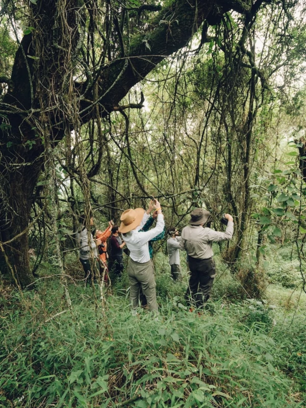 Expedition at Bwindi
